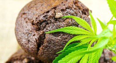 buy edibles online scarborough