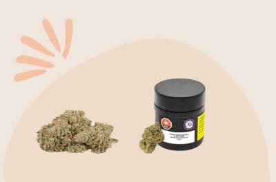 Organic Cannabis and pot shop in Scarborough near me