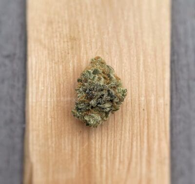 Alien sin mint cookie strain review your local cannabis and pot shop in scarborough