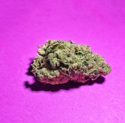 Strain Review First Class Fun by Ghostdrops from Scarboreough Weed Store Stok'd