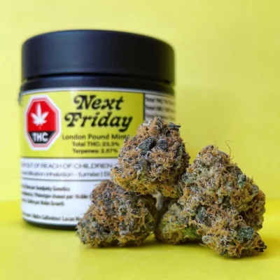 Next Friday London Pound Mints Strain Review Weed Store Near Me