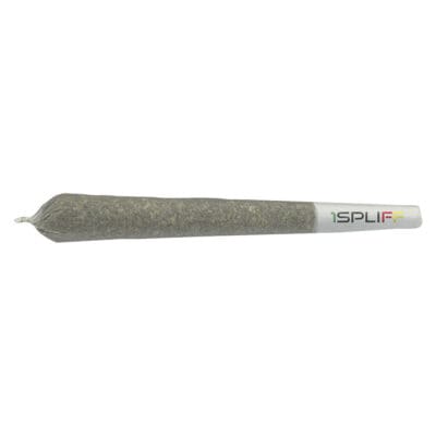 1Spliff | Biscotti Pre-roll