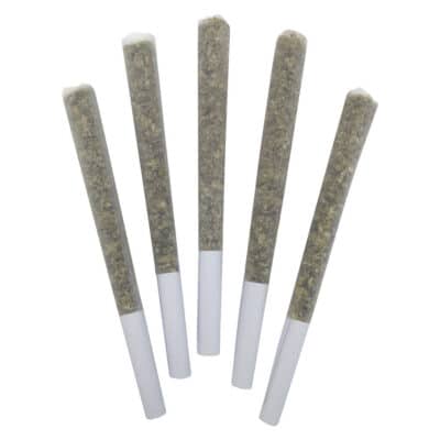 DEALR | Sweet Jesus Pre-roll