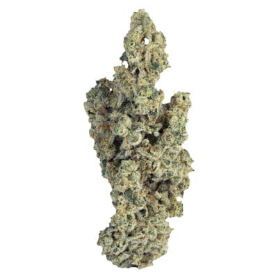 PURPLEFARM | Miracle Mints