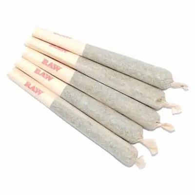 Sixty Seven Sins | 67 Artisan Reserve Pre-Roll