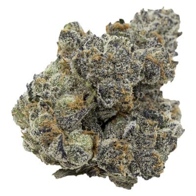 Pistol and Paris | Pink Death