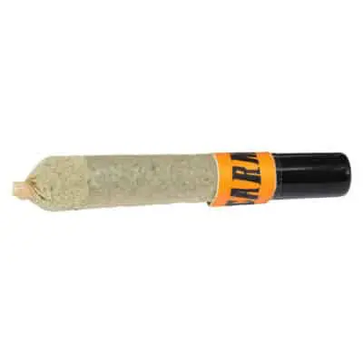 Carmel | Straight Cash Homie Ceramic Tip Infused Pre-Roll