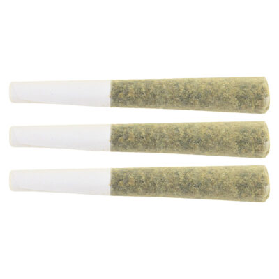 The Loud Plug | Waffle Cone Pre-Roll