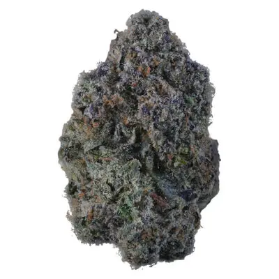 KWALL | Ice Cream Cake #4