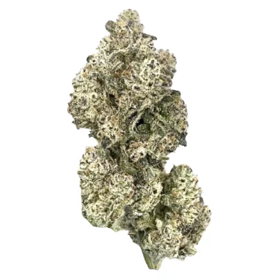 00627987991857 a1cc compressed 105475 94b1dd22 cc73 4637 8991 9adee6d3bf6f 1024x1024