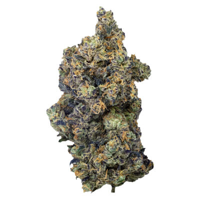 PURPLEFARM | Lime Rntz