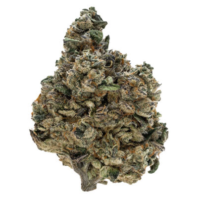 Tribal | Gran Turismo