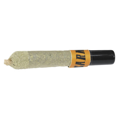 Carmel | Envy Ceramic Tip Infused Pre-Roll