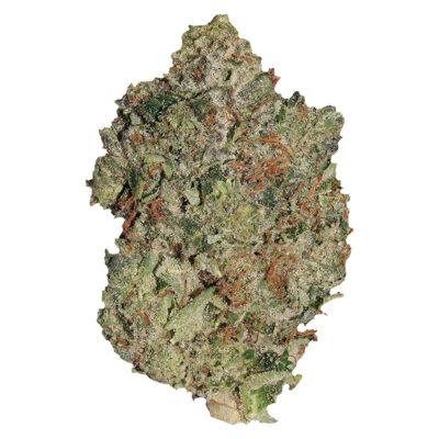 Pistol and Paris | Lindsay OG