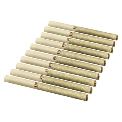 Back Forty | Backpackers Pre-Roll - Golden Tangie