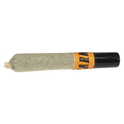 Carmel | Animal Face Ceramic Tip Pre-Roll