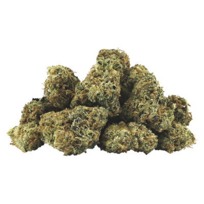 BC Smalls | Electric Lotus Smalls
